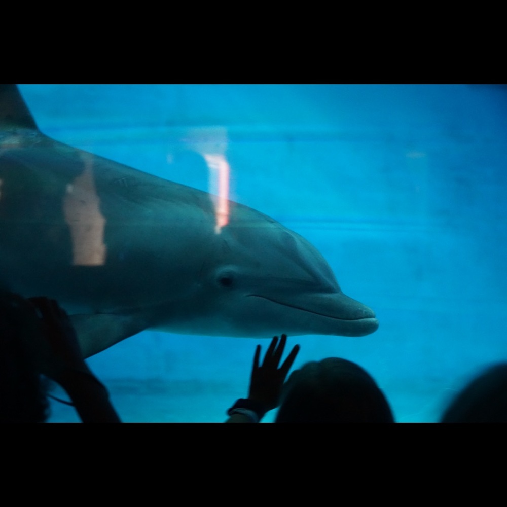 Meet your Posher, Diane